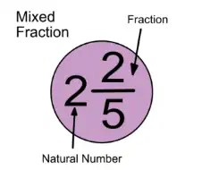 Whole Number & Fraction